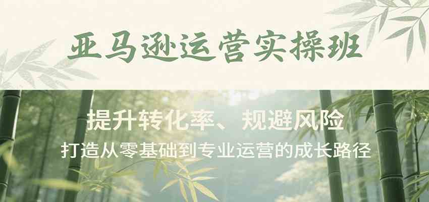 亚马逊运营实操班，提升转化率、规避风险，打造从零基础到专业运营的成长路径-小Z博客