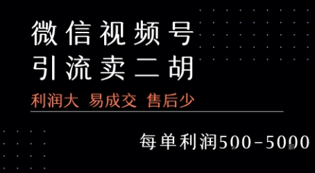 视频号卖二胡教程，利润大 易成交 售后少，一单利润5张+-小Z博客
