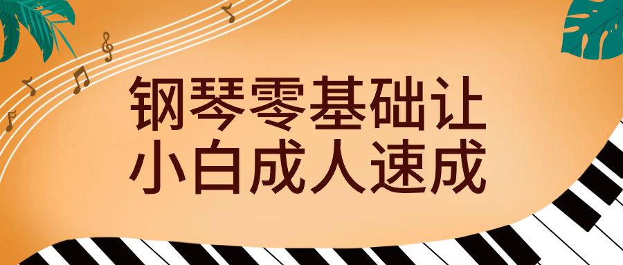 钢琴零基础让小白成人速成-小Z博客