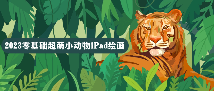 2023零基础超萌小动物iPad绘画-小Z博客