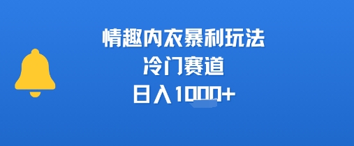 情趣内衣暴利玩法，冷门赛道，日入1k+-小Z博客